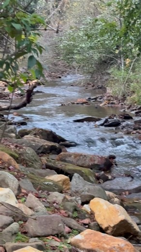 Colleen Mitchell Morris on Reels