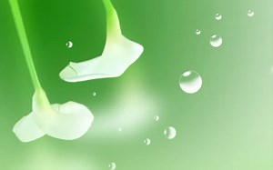 医学编码介绍及e-Coding使用