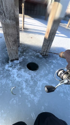 Fishing for Jumbo Perch with a Beaded Spoon