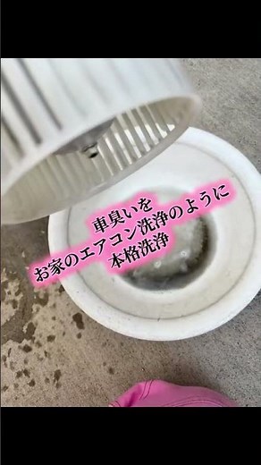 カーエアコン洗浄 エアコン臭いカビ臭 車のエアコン洗浄専門工具 エバポレーター洗浄 内視鏡一体型洗浄工具オリジナル工具を数種類使用しエアコン内部エバポレーターを見ながら本格的に洗浄 #エアコン
