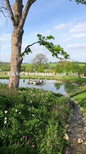 Ifb btw #fyp #england #english #british #summer #summervibe #unitedkingdom #uk #spring #april #easter #lent #blowup? #blowthisupforme #makemefamous #viral #trend #trending #farmers #ukfarming #farm #country #countryside #nature #animals #sheep #horses #cows #london