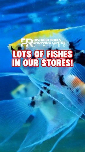 3.8K views · 20 reactions | Turn your tank into a whole vibe ✨ Our...