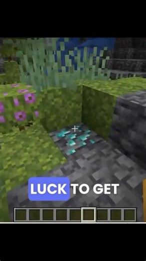 What is the rarest block in Minecraft? 🤔