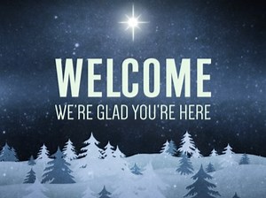 Christmas Forest Blue Welcome Motion | Playback Media