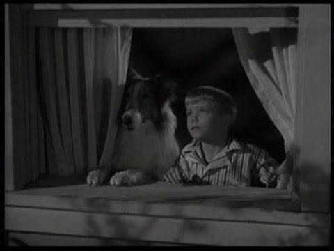 Lassie - Episode #195 - "The Man From Mars" - Season 6 Ep. 13 - 11/29/1959