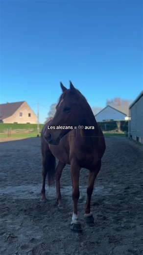 Les plus beaux je veux rien entendre Id : @Flower et Kesako #alezan#trend #fyp #pourtoiii #lpb