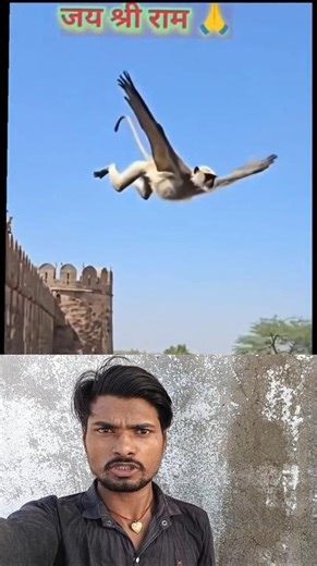 #Timelapse, start to finish alone build log cabin (wooden house), how to build wooden cabin, surviva