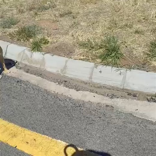 There is a dangerous crossing when the R63 meets the N1! | David Luscombe