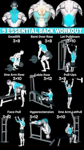 The Ultimate Back Day: 9 Essential Exercises for Muscle Growth