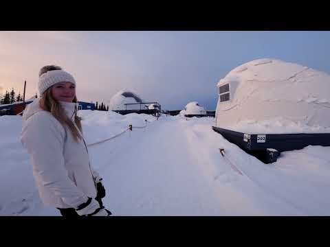 @Borealis basecamp | Fairbanks alaska | igloo tour