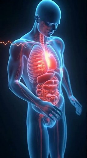 What Happens Inside Your Body When You Get an Electric Shock