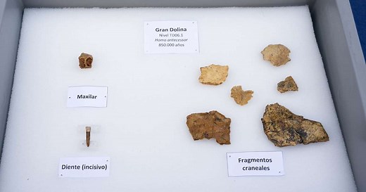 Descubren nuevos restos de Homo antecessor en la sierra de Atapuerca