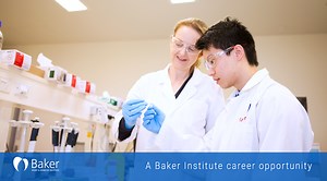 Career opportunities at the Baker Heart and Diabetes Institute
