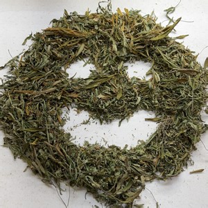 GotchaGames - Twitch