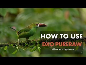 How to Use DxO PureRaw with Lightroom