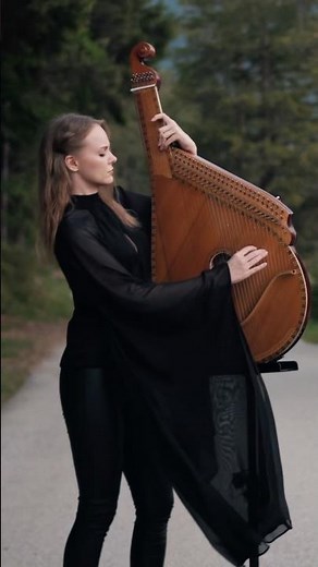 Bring Me to Life — Evanescence on Bandura and Accordion 🔥