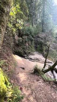 “Cable car beach” #henrycowellstatepark river trail