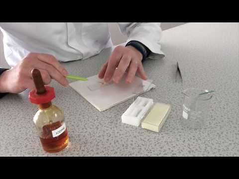 Examination of animal and plant cells using mcroscopes and production of labelled diagrams