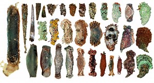 Big Idea 1: Evolution