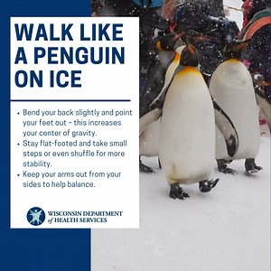 Freezing rain? Slippery sidewalks? Icy driveways? Not as much of a problem if you walk like a penguin! Take small steps or shuffle, go slow, and get more #winter weather health and safety tips: dhs.wisconsin.gov/climate/winter-weather.htm | Wisconsin Department of Health Services