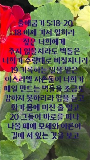 #출애굽기 5:18-20 #성경읽기 #개역개정 #모세#구약
