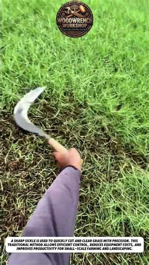 Fast Grass Cutting with Sickle | Traditional Tool Efficiency