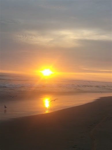 Playa Yaya Chilca - Cañete - Peru Febrero 2026 #ovni #ufo #chilca #alien #marciano