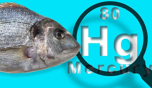 Methylmercury in Edible Fish: How to Detect Critical Levels in Cod and Tuna?