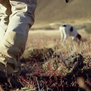 35K views · 121 reactions | The new Alsea hunting boot is breathable, waterproof and durable. Built to go anywhere the terrain takes you. | Danner | Facebook