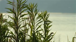 🌅 Take a minute to just sit and watch! KCCI Photojournalist Chris Habermann captured this beautiful Iowa sunrise from Saylorville Lake this morning. | KCCI
