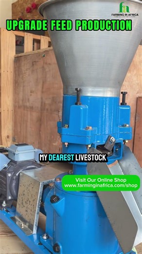 How To Make Your Own Affordable livestock feed! #semanhyiafarms #goatfarming