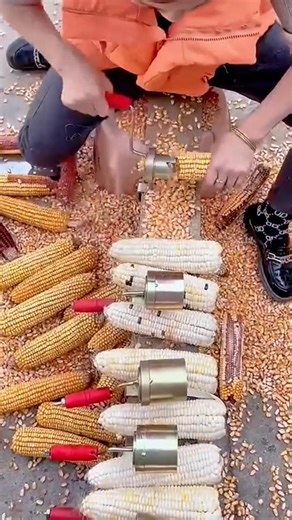 Removing Corn Kernels from Fresh Cobs Using a Handheld Corn Sheller Quickly and Efficiently #shorts