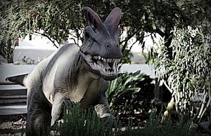 5 Ways of Using the Spanish Verb "Creer"