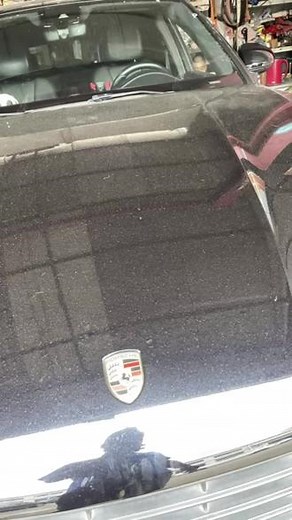 保时捷报P1572，P1576，P240B，P3018，P25AA,P2009，P165F，P0034。。。电路故障诊断