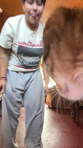 Pasaron muchas cosas en un solo video — resumen viral tribal