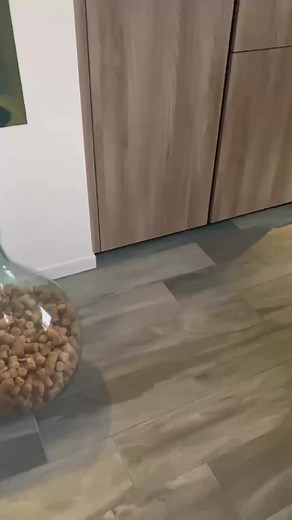 💖 A Natale pensiamo sempre a rendere felici i bambini… ma anche noi mamme meritiamo un po’ di magia, no? Con questo libro, tutto è già pronto: lettere, buste, giochi, scherzetti e momenti speciali. Tu non devi fare nulla, solo vivere la magia insieme a loro 🎁 ❤️ L’ho creato proprio per questo: per far sorridere i bambini e far respirare le mamme. È semplice, bello e pieno d’amore. 👉 È la magia più furba che puoi concederti questo Natale ✨ #calendariodellavvento #magiconatale #elfontheshelf #e