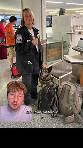 Here are the Top 5 Dogs of the week! | We Rate Dogs