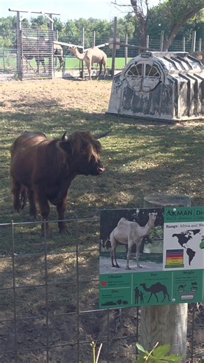 Aikman Wildlife Adventure