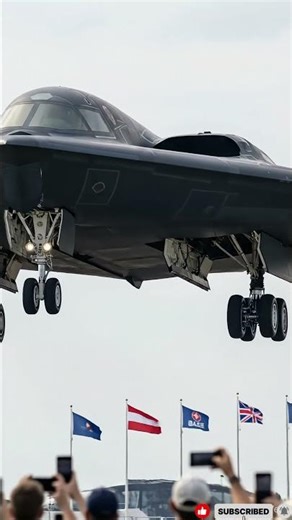 Understanding the AI systems that drive robotic flight.