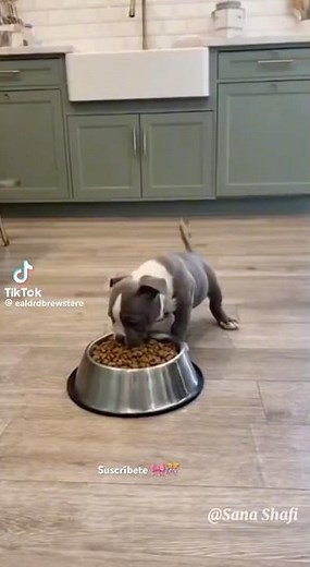 OPORTUNO “ GOLPE EN LA CABEZA”