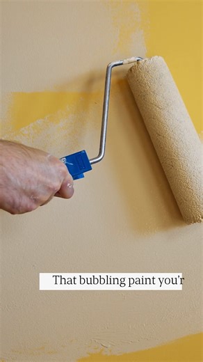 Termite Infestations: What Your Insurance Won't Cover & Why Pro Exterminators Are A Must