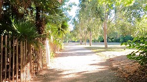 Une matinée d'été au Parc Borely...🦚🐦🦆🎵🤩 Excellent dimanche à tous. 😘 | Bienvenue à Marseille
