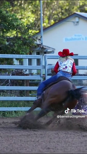 Queen Rassy: The Bay Mare Barrel Racer in Action