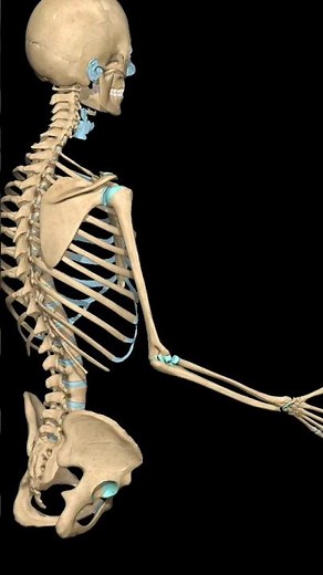 “Elbow Joint Flexion & Extension Explained ||