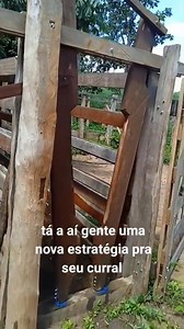 #boi #gadodecorte #pecuaria #curral | Ricardo Barcelos