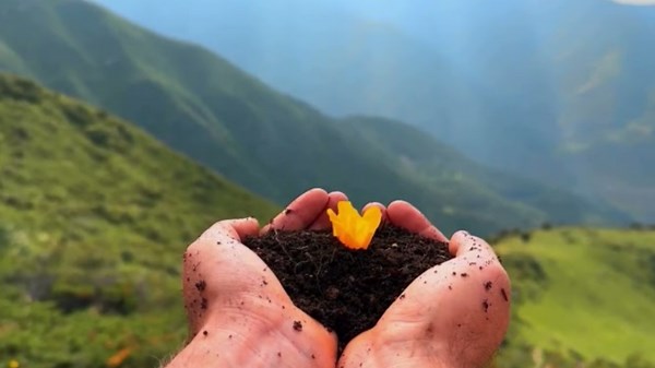 "Top Tips for Taking Great Shots with Your Camera: A Photographer's Guide