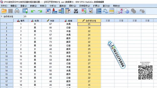 25.2SPSS进行线性回归中分类变量哑变量的设置【杏花开医学统计】