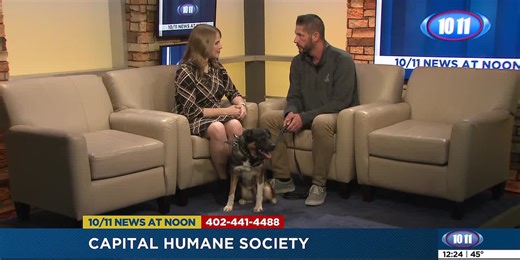 Working cats available for adoption at CHS