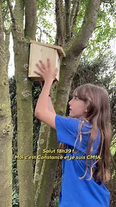 📽️ Suivez Constance, élève de CM1, lors de l'opération "Les P'tits Castors" ! Elle vous explique comment fabriquer un nichoir pour les oiseaux 🐦 | 18h39.fr