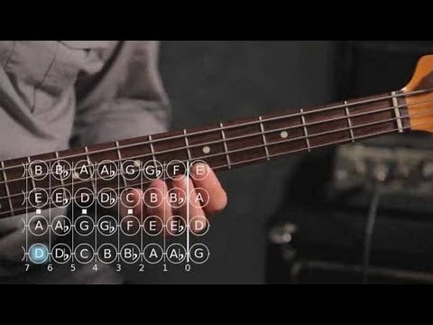 How to Play a D Minor Scale | Bass Guitar